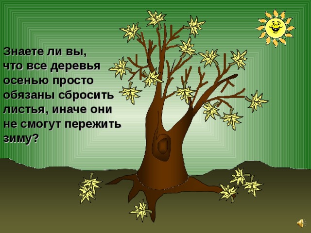 Знаете ли вы, что все деревья осенью просто обязаны сбросить листья, иначе они не смогут пережить зиму? 