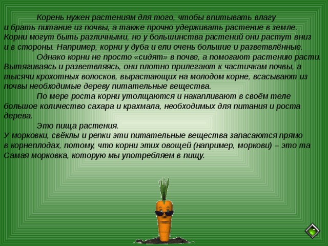  Корень нужен растениям для того, чтобы впитывать влагу и брать питание из почвы, а также прочно удерживать растение в земле. Корни могут быть различными, но у большинства растений они растут вниз и в стороны. Например, корни у дуба и ели очень большие и разветвлённые.  Однако корни не просто «сидят» в почве, а помогают растению расти. Вытягиваясь и разветвляясь, они плотно прилегают к частичкам почвы, а тысячи крохотных волосков, вырастающих на молодом корне, всасывают из почвы необходимые дереву питательные вещества.  По мере роста корни утолщаются и накапливают в своём теле большое количество сахара и крахмала, необходимых для питания и роста дерева.  Это пища растения. У морковки, свёклы и репки эти питательные вещества запасаются прямо в корнеплодах, потому, что корни этих овощей (например, моркови) – это та Самая морковка, которую мы употребляем в пищу.  