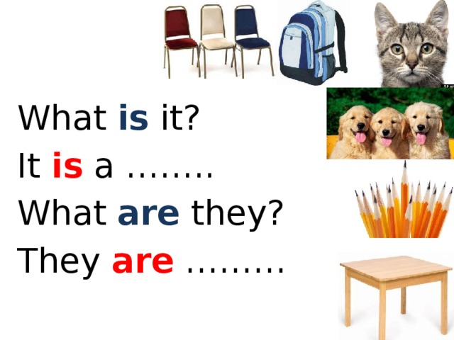 They are. What is it what are they. What it was. What is it what are they упражнения. What is it what are they правило.