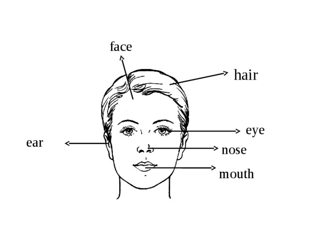 Face nose. 2 Класс nose Eyes Ears mouth. Face hair задания для детей. Лицо человека волос глаза нос рот по английскому.