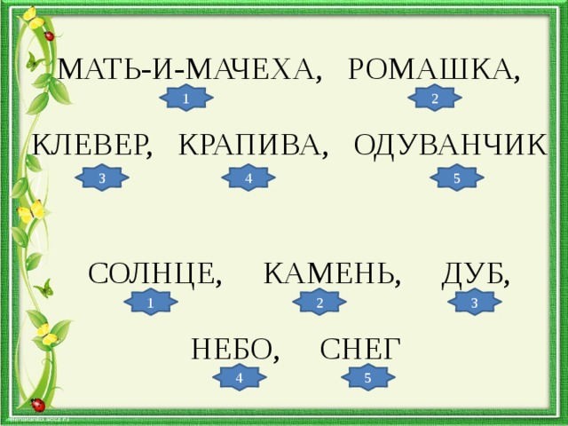 МАТЬ-И-МАЧЕХА, РОМАШКА, КЛЕВЕР, КРАПИВА, ОДУВАНЧИК 1 2 3 4 5 СОЛНЦЕ, КАМЕНЬ, ДУБ, НЕБО, СНЕГ 1 2 3 4 5 