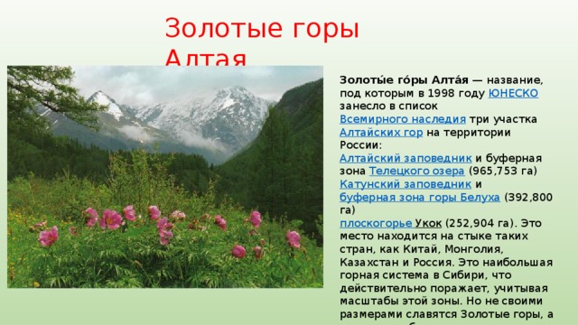 Золотые горы Алтая Золоты́е го́ры Алта́я  — название, под которым в 1998 году ЮНЕСКО занесло в список Всемирного наследия три участка Алтайских гор на территории России: Алтайский заповедник  и буферная зона Телецкого озера (965,753 га) Катунский заповедник  и буферная зона горы Белуха (392,800 га) плоскогорье Укок  (252,904 га). Это место находится на стыке таких стран, как Китай, Монголия, Казахстан и Россия. Это наибольшая горная система в Сибири, что действительно поражает, учитывая масштабы этой зоны. Но не своими размерами славятся Золотые горы, а природным богатством. 