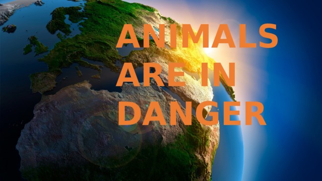 ANIMALS ARE IN DANGER 