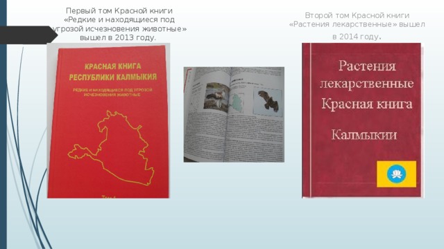 Красная книга калмыкии рисунок