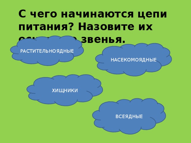 Цепь начинается. С чего начинается цепь питания. С чего начинается пищевая цепь. С кого начинается цепочка питания. С чего начинается первое звено цепи питания.