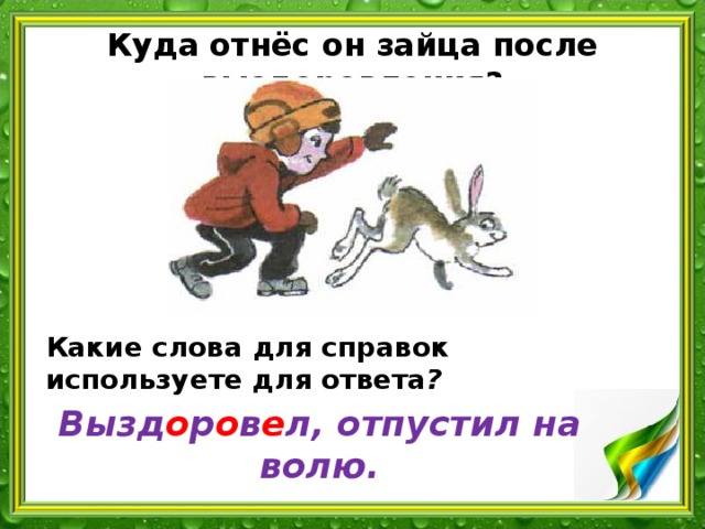 Куда относится