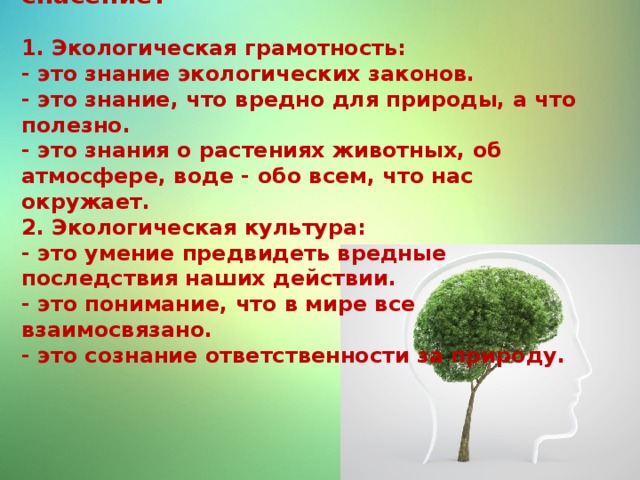 Какое значение имеют экологические знания. Экологическая грамотность. Урок экологии.