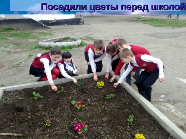 Посадили цветы перед школой 