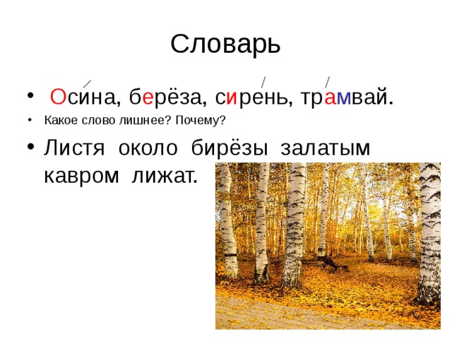 Какой частью речи является слово осины. Осина словарное слово. Осина словарное. Осина словарь. Осина словарное слово вопрос.