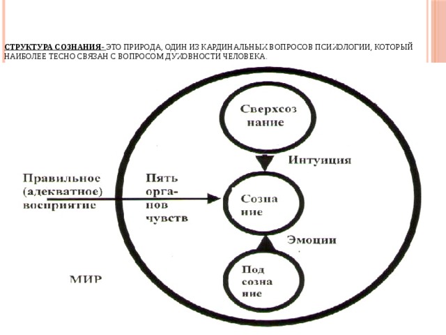 Схема структуры сознания