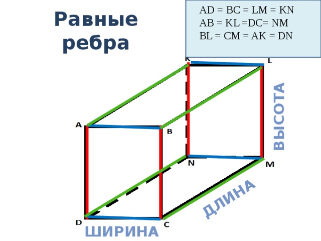 длина высота AD = BC = LM = KN АВ = KL =DC= NM BL = CM = AK = DN Равные ребра ширина 