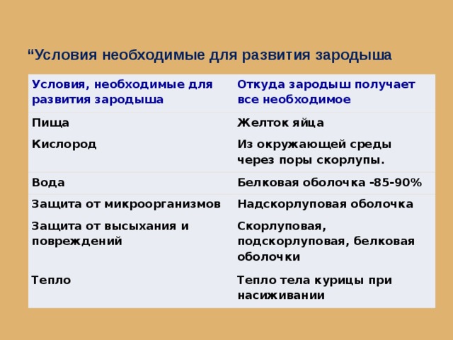  “ Условия необходимые для развития зародыша Условия, необходимые для развития зародыша Откуда зародыш получает все необходимое Пища Желток яйца Кислород Из окружающей среды через поры скорлупы. Вода Белковая оболочка -85-90% Защита от микроорганизмов Надскорлуповая оболочка Защита от высыхания и повреждений Скорлуповая, подскорлуповая, белковая оболочки Тепло Тепло тела курицы при насиживании 