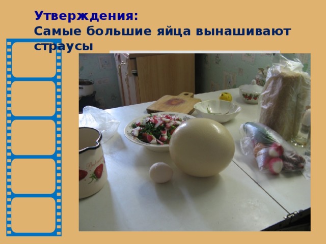 Утверждения:  Самые большие яйца вынашивают страусы 11 16,48 Птенец киви Киви. Расположение яйца Самка киви Киви и её яйцо Нанду  