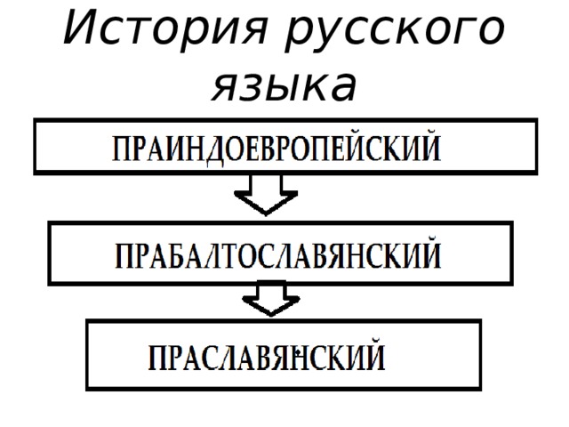 История русского языка 