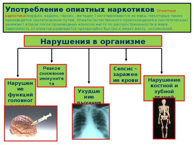 Употребление опиатных наркотиков  Опиатные наркотики (морфин, кодеин, героин , метадон ) изготавливаются из мака. Некоторые также производятся синтетическим путем. Опиаты (естественного происхождения и синтетические) занимают второе после производных конопли место по распространенности в мире. Зависимость от опиатов развивается чрезвычайно быстро и имеет массу  осложнений. Нарушения в организме Резкое снижение иммунитета Сепсис – заражение крови Нарушение костной и зубной тканей Нарушение функций головного мозга Ухудшение дыхания 