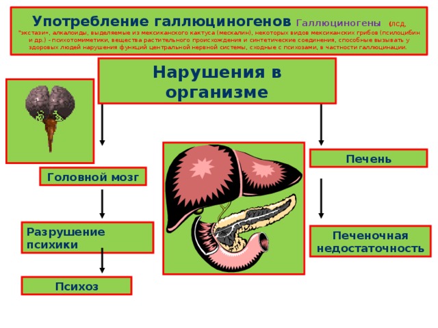 Употребление галлюциногенов Галлюциногены ( ЛСД, 
