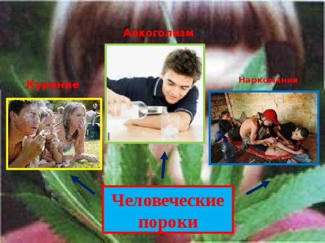 Алкоголизм Наркомания Курение Человеческие  пороки 