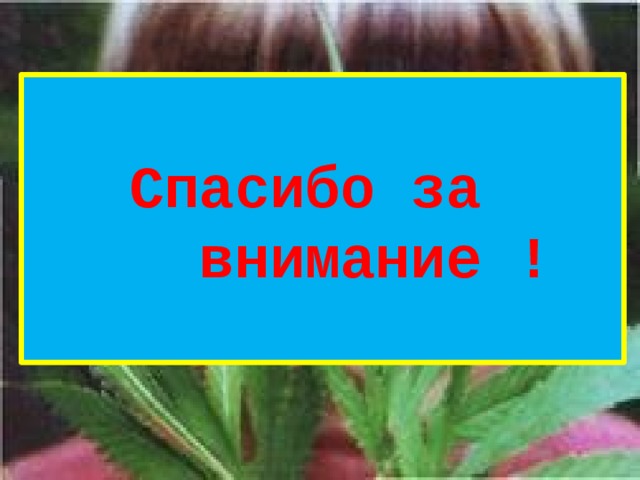 Спасибо за  внимание !   