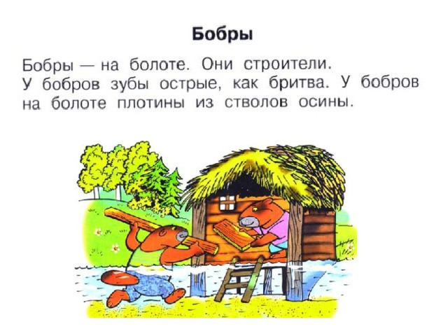 2 класс буква б. Азбука текст бобры. Бобры текст 1 класс. Бобры Азбука 1 класс. Азбука 1 класс школа России бобры.