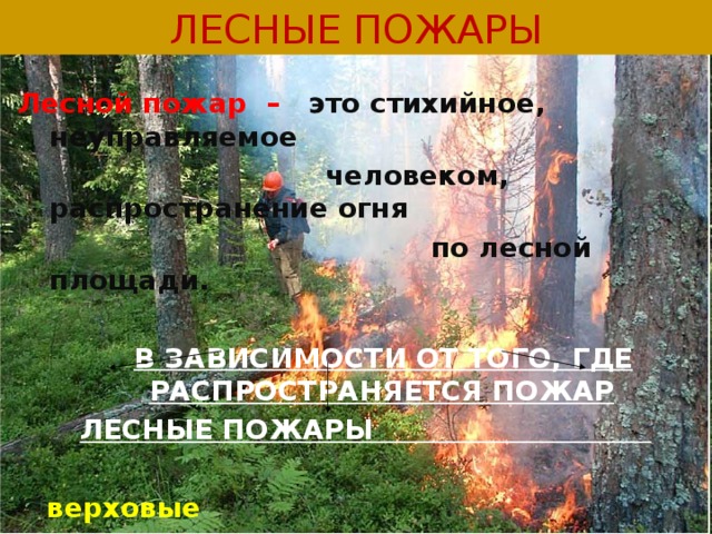 ЛЕСНЫЕ ПОЖАРЫ  Лесной пожар – это стихийное, неуправляемое  человеком, распространение огня  по лесной площади.  В ЗАВИСИМОСТИ ОТ ТОГО, ГДЕ РАСПРОСТРАНЯЕТСЯ ПОЖАР ЛЕСНЫЕ ПОЖАРЫ  верховые  подземные   низовые
