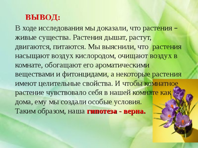 Можно ли растения