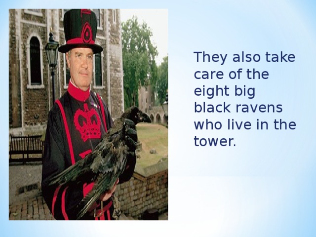 They also take care of the eight big black ravens who live in the tower. 