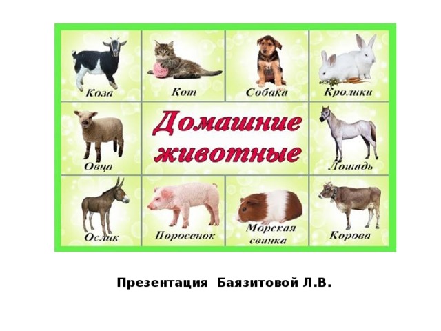 Презентация Баязитовой Л.В. 