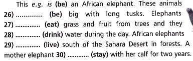 Spotlight 5 контрольная модуль 5. Спотлайт 5 тест модуль 5 this is an African Elephants.