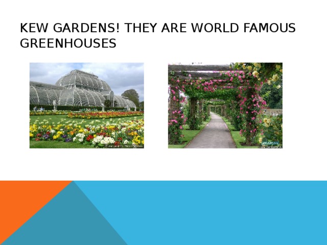 KEW GARDENS ! THEY ARE WORLD FAMOUS GREENHOUSES 