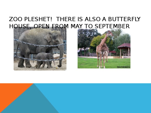 ZOO PLESHET ! THERE IS ALSO A BUTTERFLY HOUSE, OPEN FROM MAY TO SEPTEMBER 