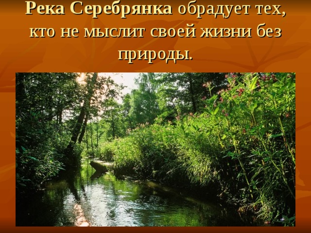 Река Серебрянка обрадует тех, кто не мыслит своей жизни без природы. 