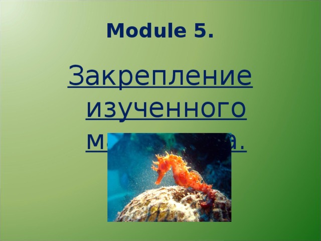 Module 5. Закрепление изученного материала. 