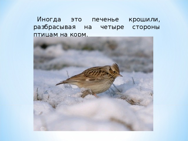 Иногда это печенье крошили, разбрасывая на четыре стороны птицам на корм. 