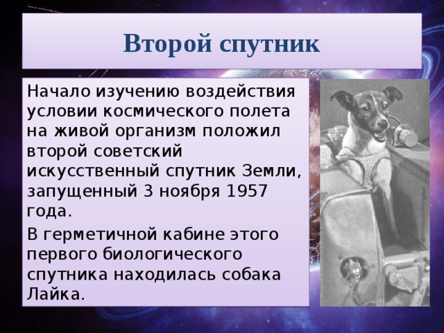 Второй спутник Начало изучению воздействия условии космического полета на живой организм положил второй советский искусственный спутник Земли, запущенный 3 ноября 1957 года. В герметичной кабине этого первого биологического спутника находилась собака Лайка. 