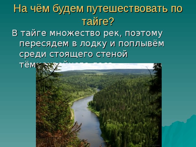 Опишите природную зону тайга по плану