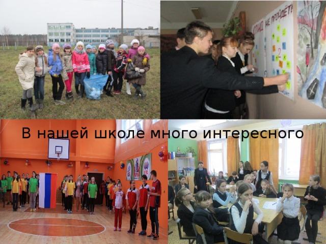 В нашей школе много интересного 