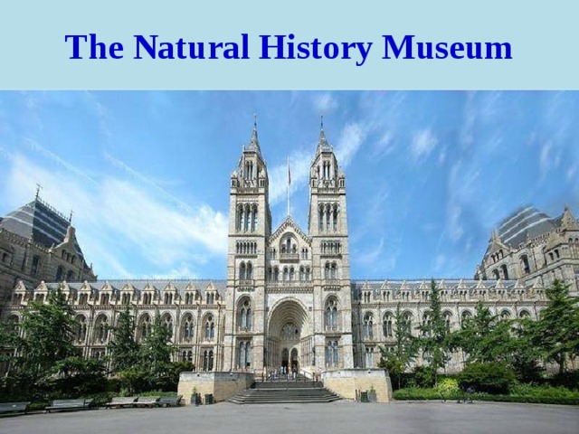 The Natural History Museum 