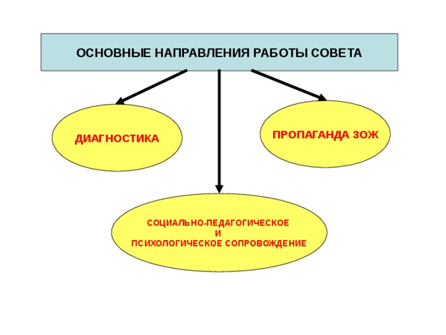 ОСНОВНЫЕ НАПРАВЛЕНИЯ РАБОТЫ СОВЕТА ПРОПАГАНДА ЗОЖ ДИАГНОСТИКА СОЦИАЛЬНО-ПЕДАГОГИЧЕСКОЕ И ПСИХОЛОГИЧЕСКОЕ СОПРОВОЖДЕНИЕ 