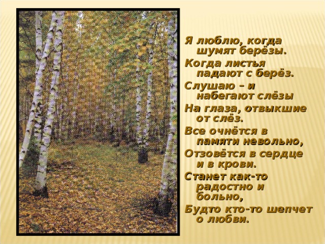 Шум берез магомаев. Я люблю когда шумят березы. Березы я люблю когда шумят березы. Падают листья березы. Когда листья падают с берез.