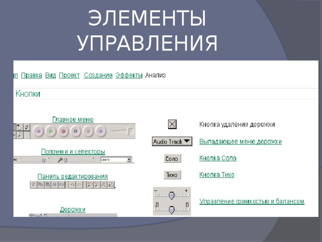 ЭЛЕМЕНТЫ УПРАВЛЕНИЯ 
