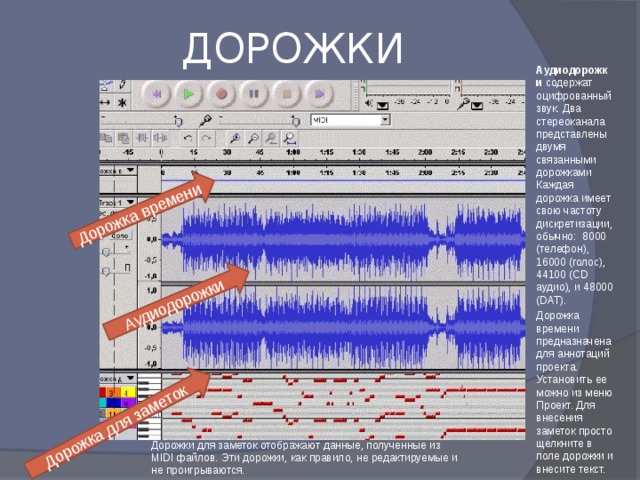 Аудиодорожки Дорожка времени Дорожка для заметок ДОРОЖКИ Аудиодорожки содержат оцифрованный звук. Два стереоканала представлены двумя связанными дорожками Каждая дорожка имеет свою частоту дискретизации, обычно: 8000 (телефон), 16000 (голос), 44100 (CD аудио), и 48000 (DAT). Дорожка времени предназначена для аннотаций проекта. Установить ее можно из меню Проект. Для внесения заметок просто щелкните в поле дорожки и внесите текст. Дорожки для заметок отображают данные, полученные из MIDI файлов. Эти дорожки, как правило, не редактируемые и не проигрываются. 