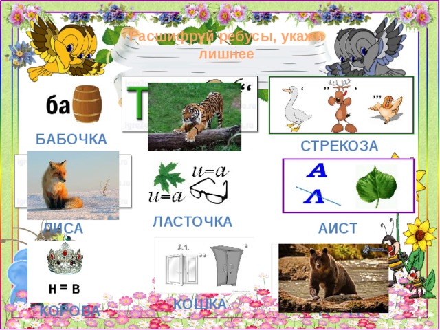 Расшифруй ребусы, укажи лишнее бабочка Тигр  Стрекоза ласточка лиса аист кошка медведь корова 
