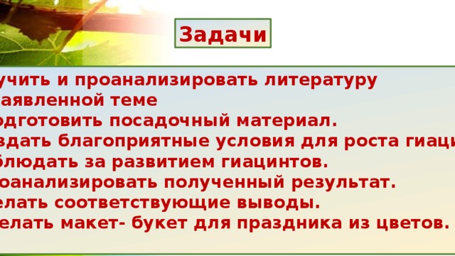 Задачи  Изучить и проанализировать литературу  по заявленной теме  Подготовить посадочный материал.  Создать благоприятные условия для роста гиацинта. Наблюдать за развитием гиацинтов.  Проанализировать полученный результат. Сделать соответствующие выводы.  Сделать макет- букет для праздника из цветов.  