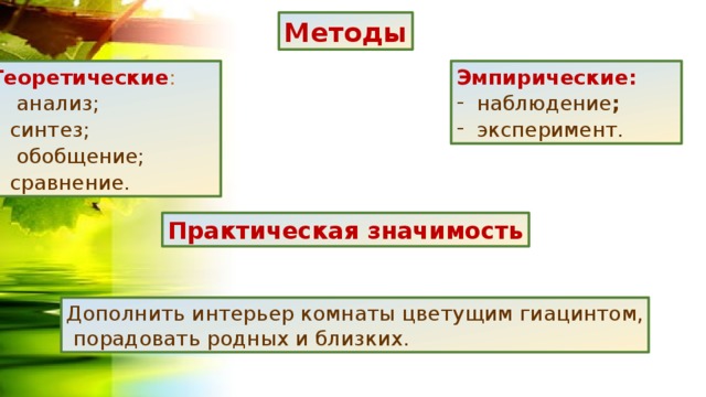 Методы Теоретические : Эмпирические: - анализ; наблюдение ; эксперимент. синтез;  обобщение; сравнение. Практическая значимость Дополнить интерьер комнаты цветущим гиацинтом,  порадовать родных и близких. 