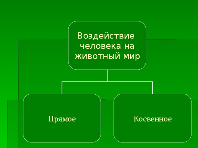 Косвенное воздействие организмов на растения