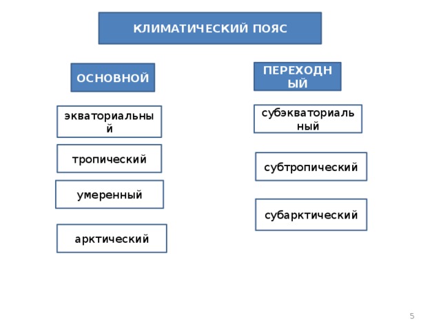 Чем отличаются основные пояса от переходных