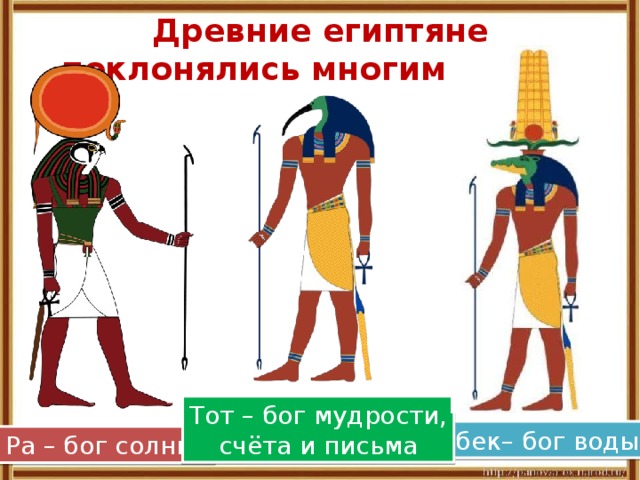  Древние египтяне поклонялись многим богам.   Тот – бог мудрости, счёта и письма Себек– бог воды Ра – бог солнца 