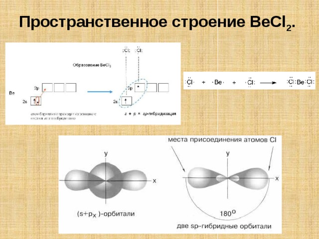 Znf2 схема образования