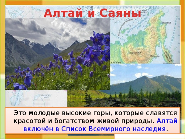 Алтай и Саяны  Это молодые высокие горы, которые славятся красотой и богатством живой природы. Алтай включён в Список Всемирного наследия . 