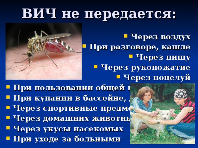 Возбудитель передается через укусы насекомых. ВИЧ не передается через поцелуй. Передается ли ВИЧ через укусы насекомых. ВИЧ передается через воздух. Передается ли СПИД через поцелуй.